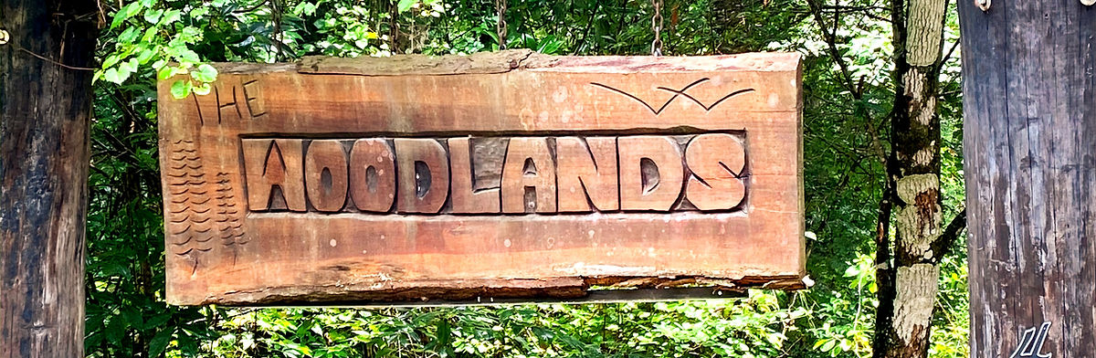 Woodlands Reentry Camp 